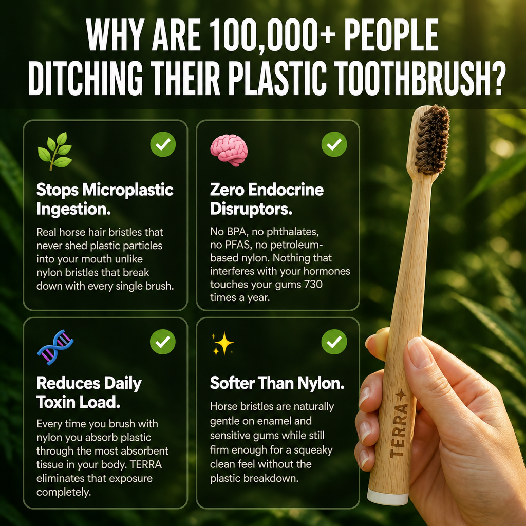 TERRA Horse Bristle & Bamboo Toothbrush (4 Pack)