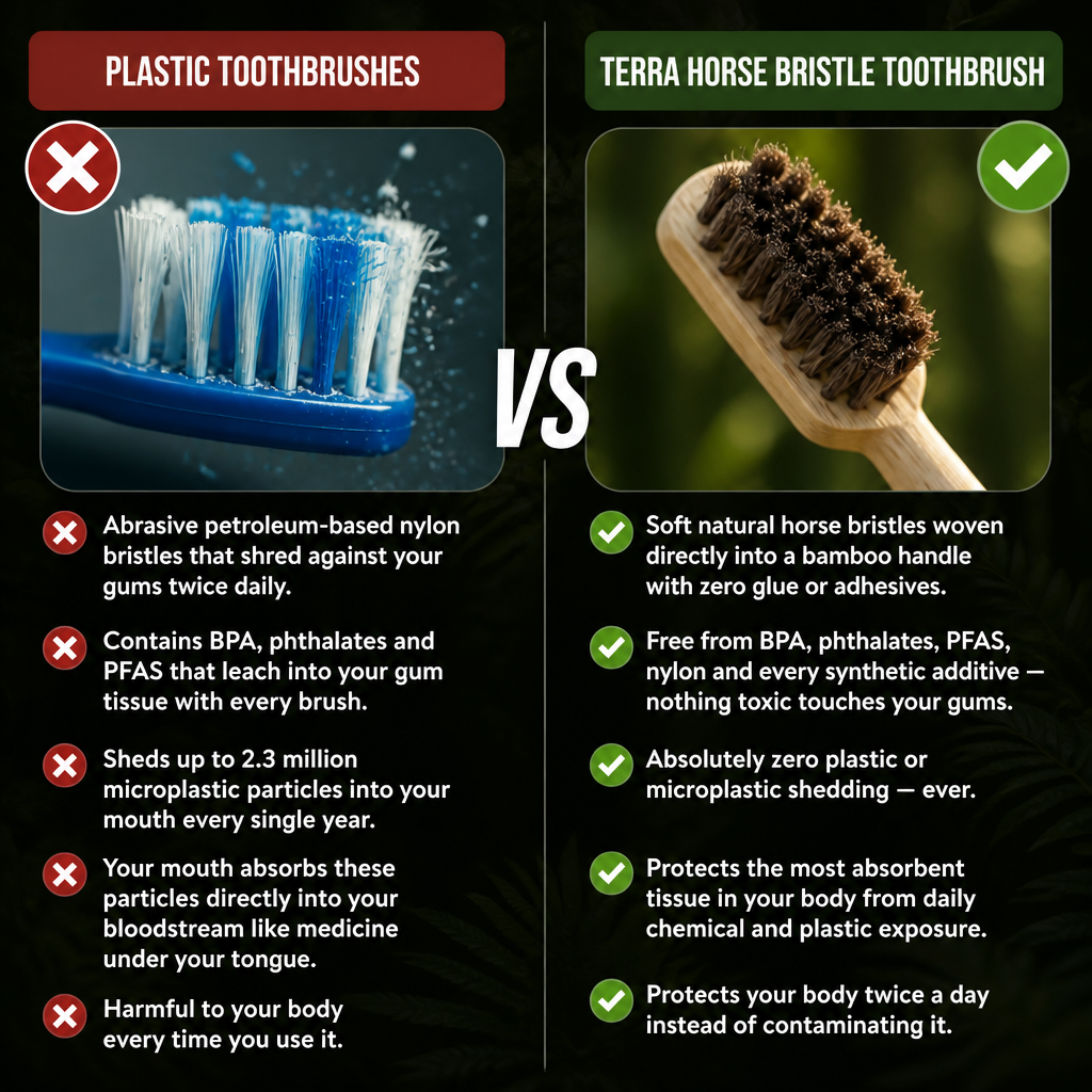 TERRA Horse Bristle & Bamboo Toothbrush (4 Pack)